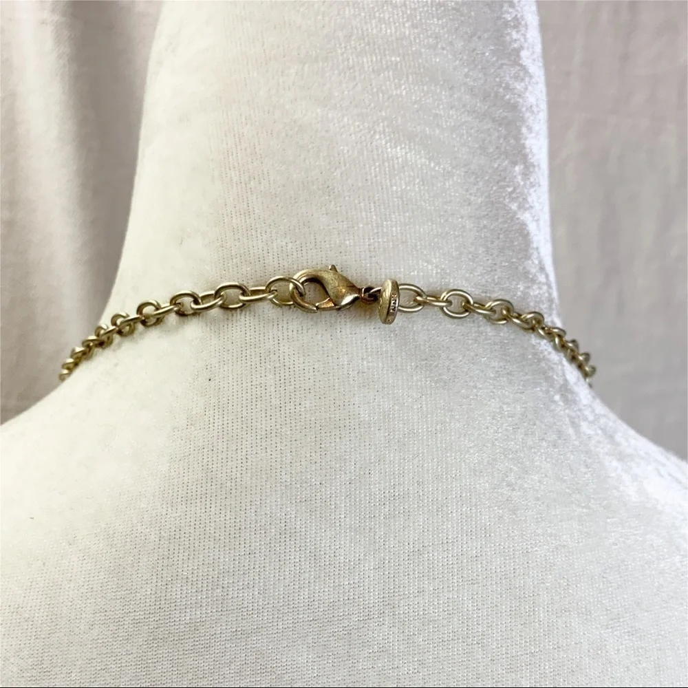 Loft Ann Taylor Long Faux tortoise acrylic link Chain necklace